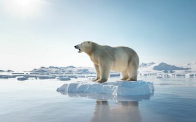 5 animaux en voie de disparition à cause du réchauffement climatique