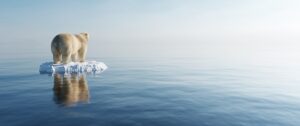 L'impact du réchauffement climatique sur la banquise est de plus en plus inquiétant !