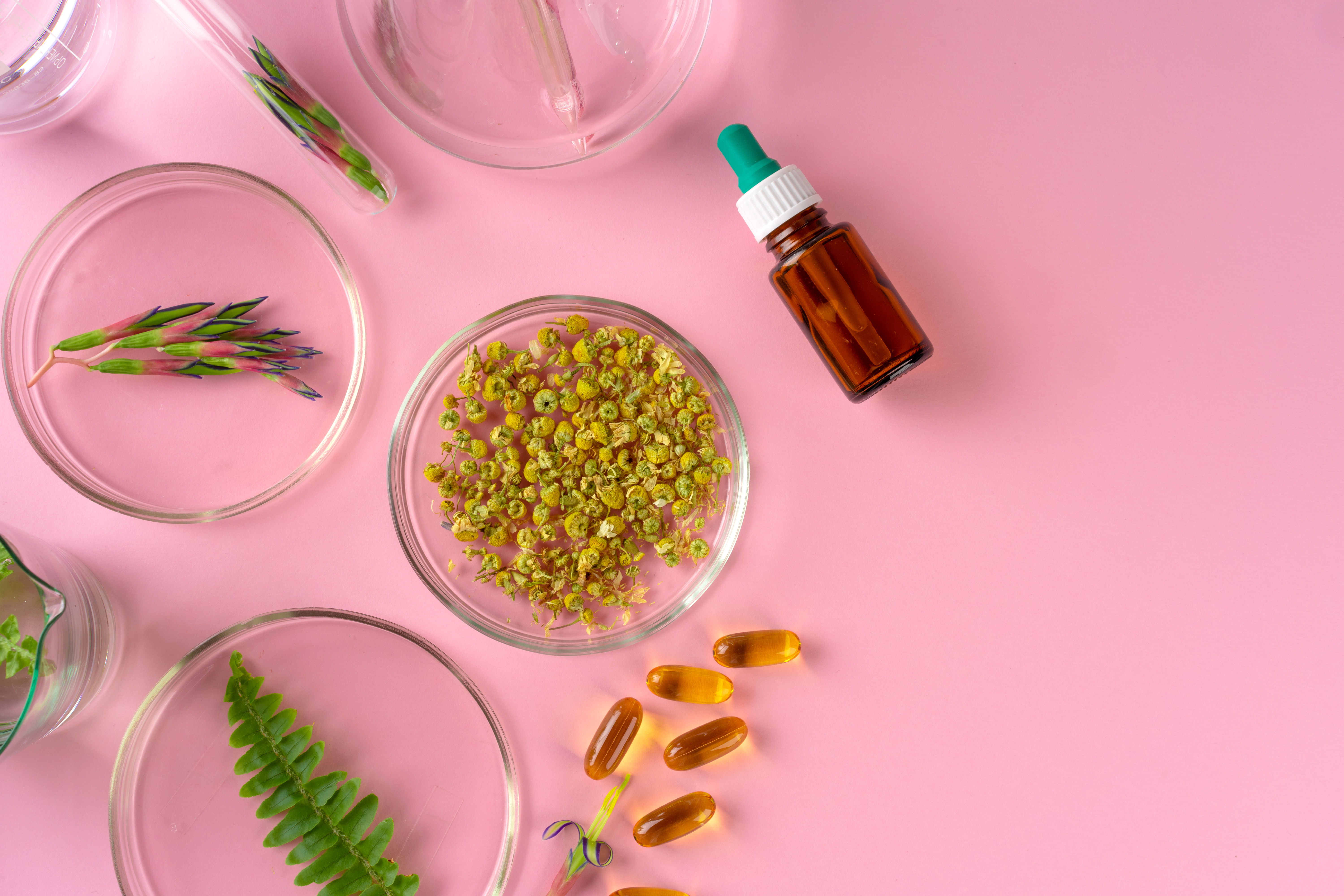 Herbs and Herbal dietary supplements top view on pink background