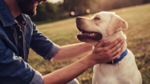 chien avec son maitre